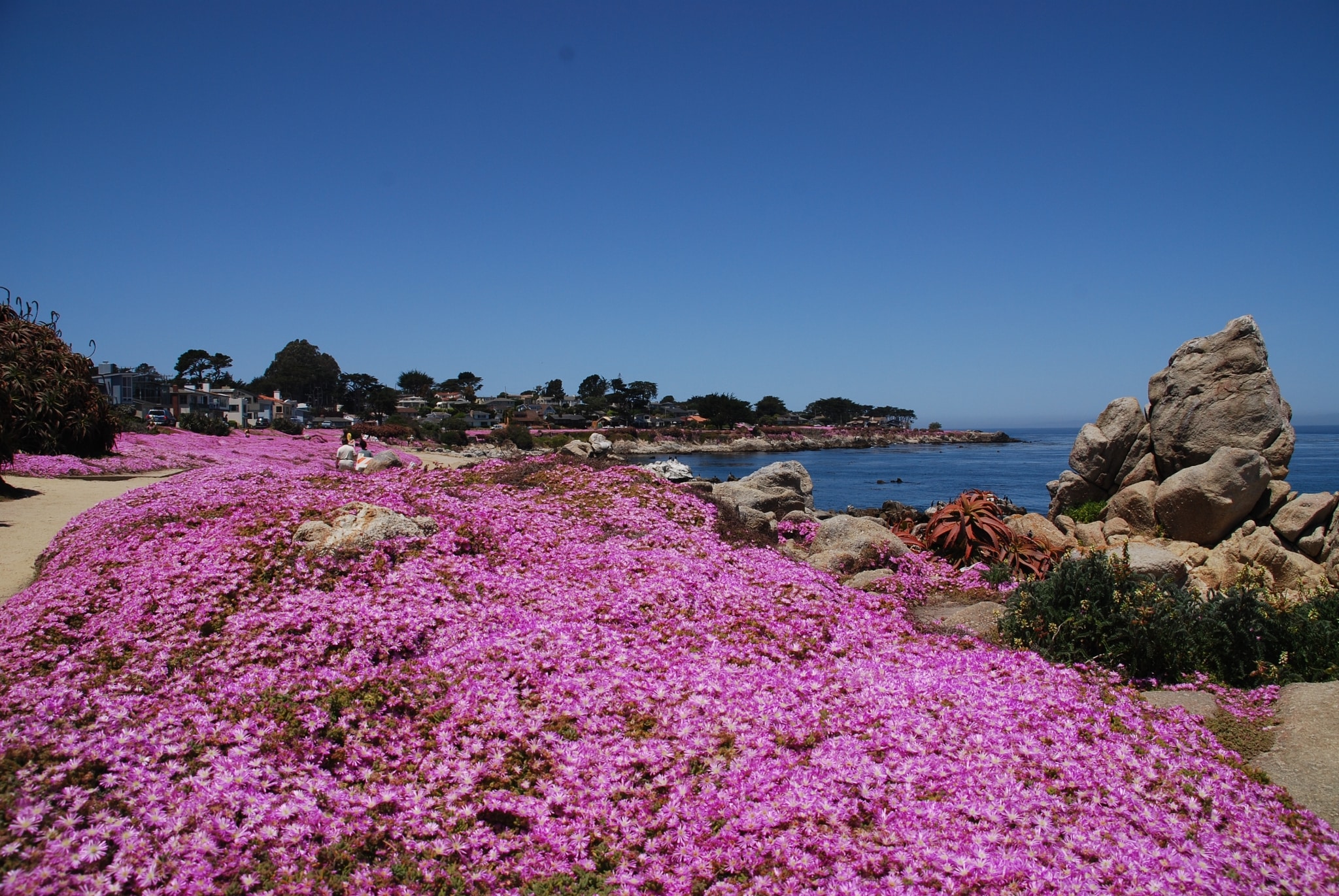 pacific grove ca property management