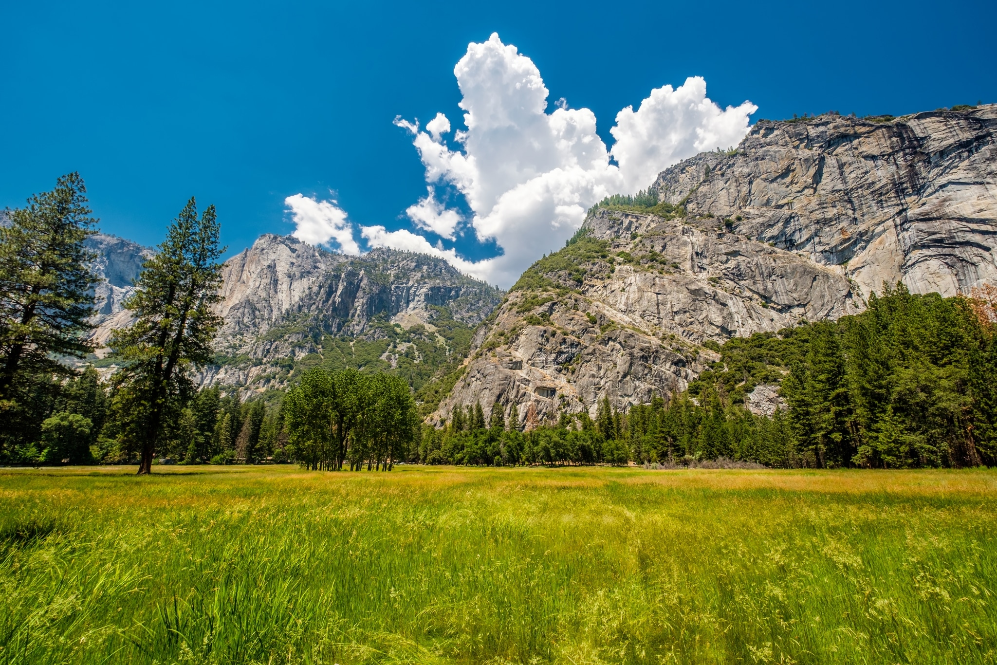meadow in yosemite national park valley PCHZEDQ