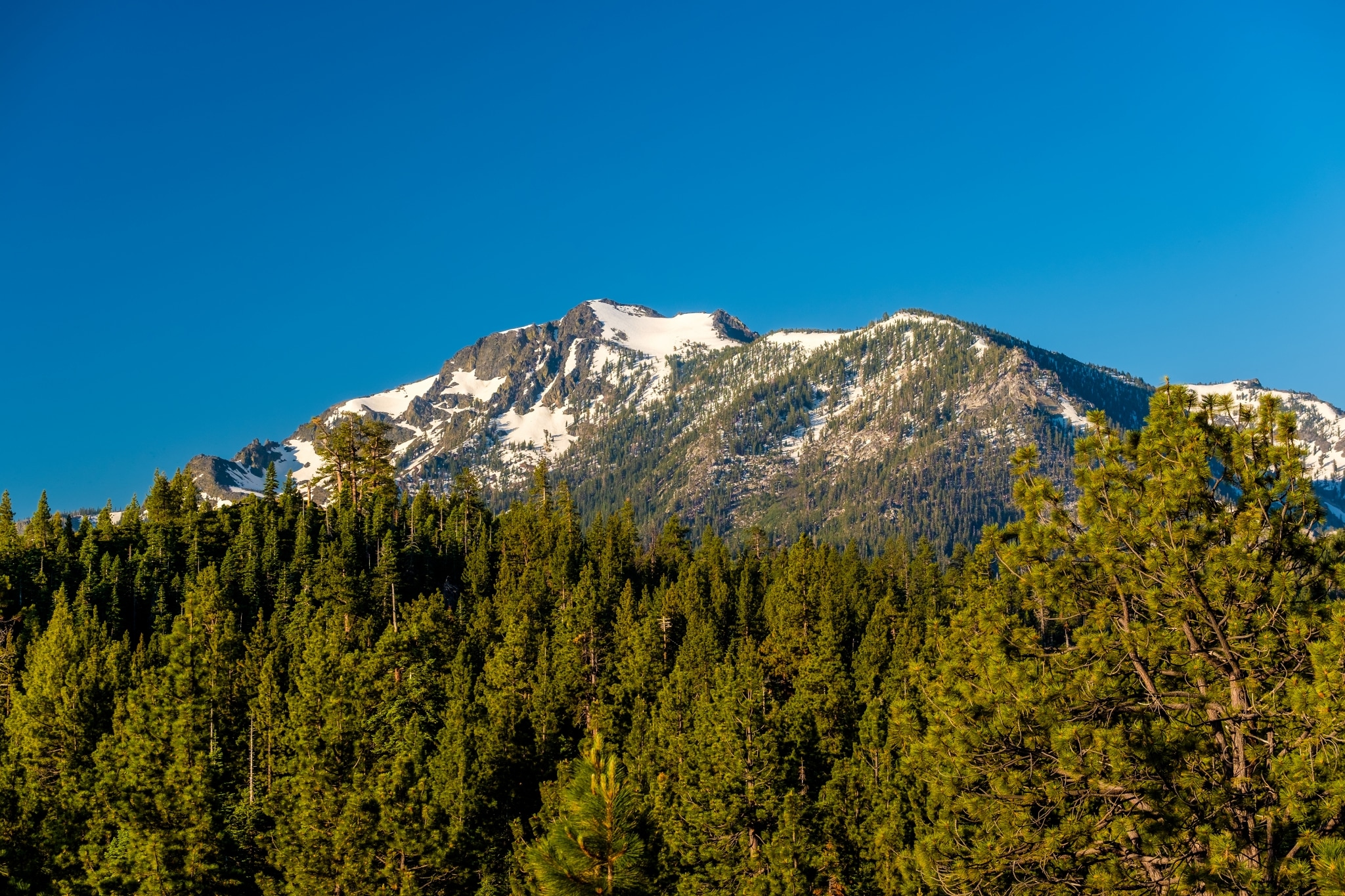 mountain at lake tahoe in california PDSH54E