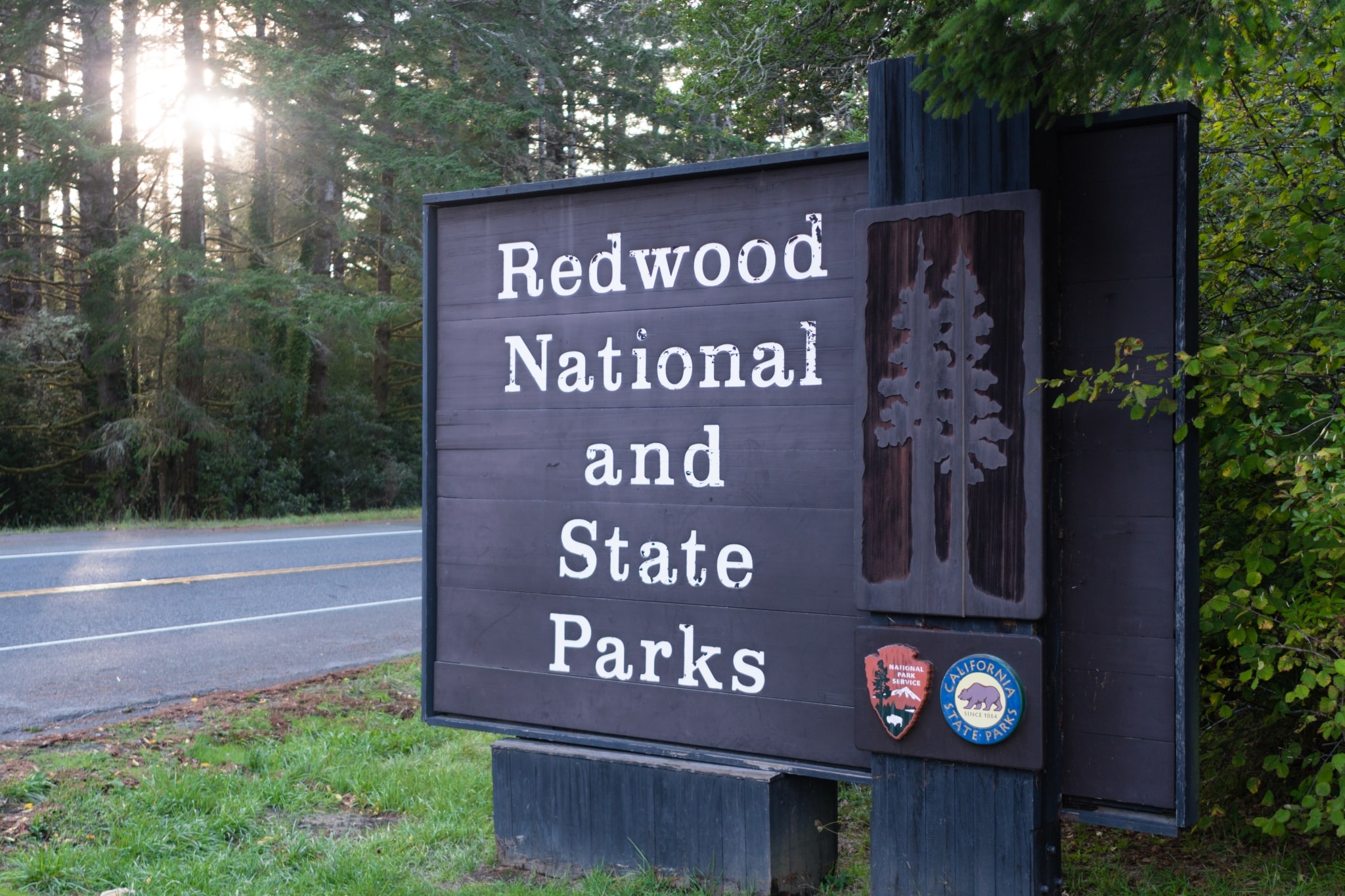redwood national and state parks california P3KR845