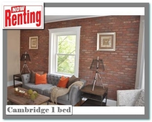 Cambridge 1 bed Utilities Furnished00007